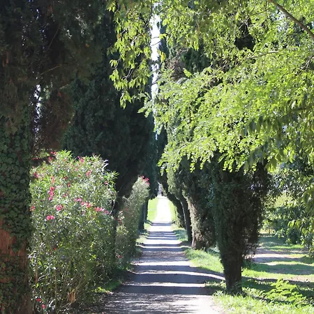 Chateau De L'olivete 3* Cornillon