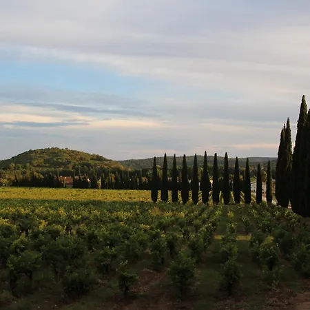 Chateau De L'olivete 게스트하우스 3*