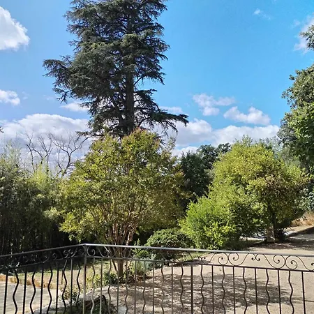 Chateau De L'olivete 科尔尼永