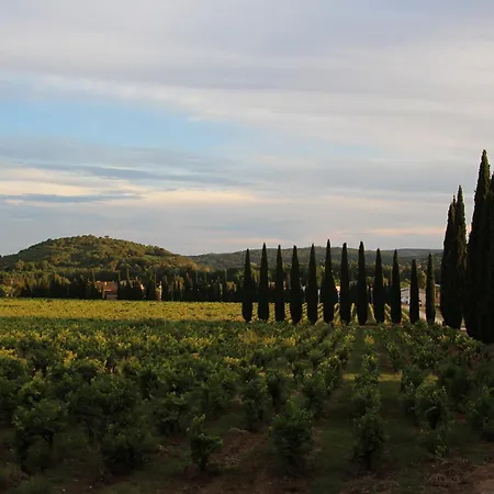 Πανσιόν Chateau De L'olivete Cornillon