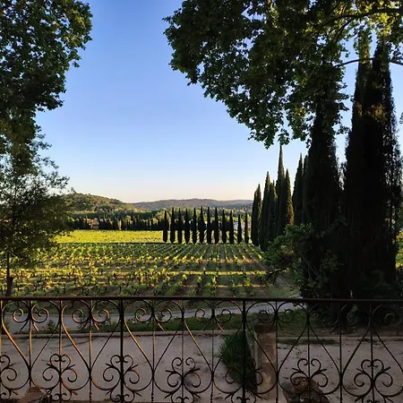 Chateau De L'olivete