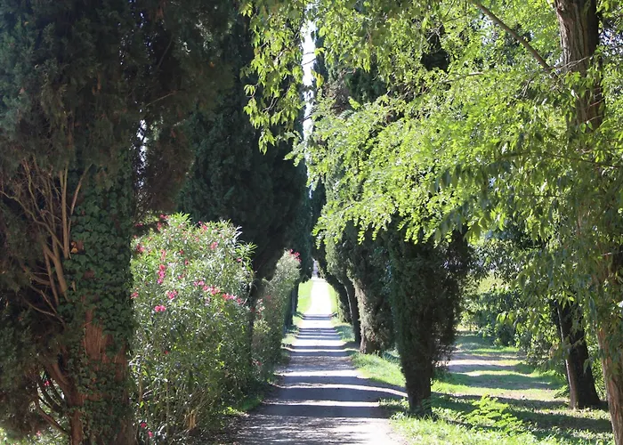 Château De L'olivète 3* Cornillon